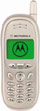 Motorola T191