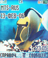   Motorola L2
