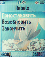   Motorola L2