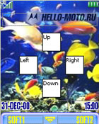 Aquarium