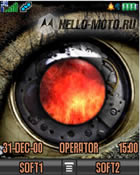 Eye